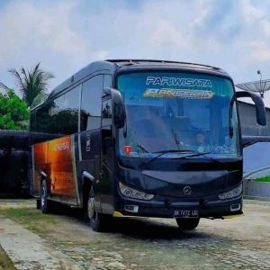 rental Medium Bus